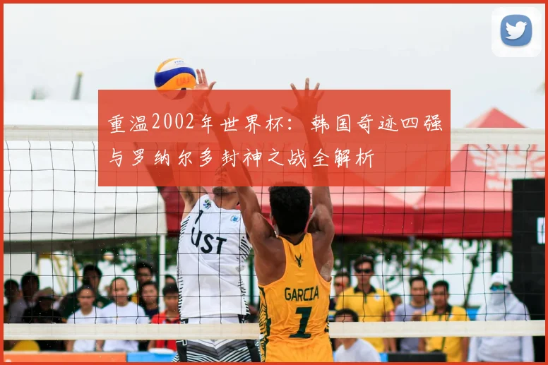 重温2002年世界杯:韩国奇迹四强与罗纳尔多封神之战全解析